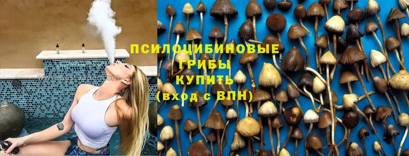 mega как зайти  закладки  Иланский  Галлюциногенные грибы Cubensis 